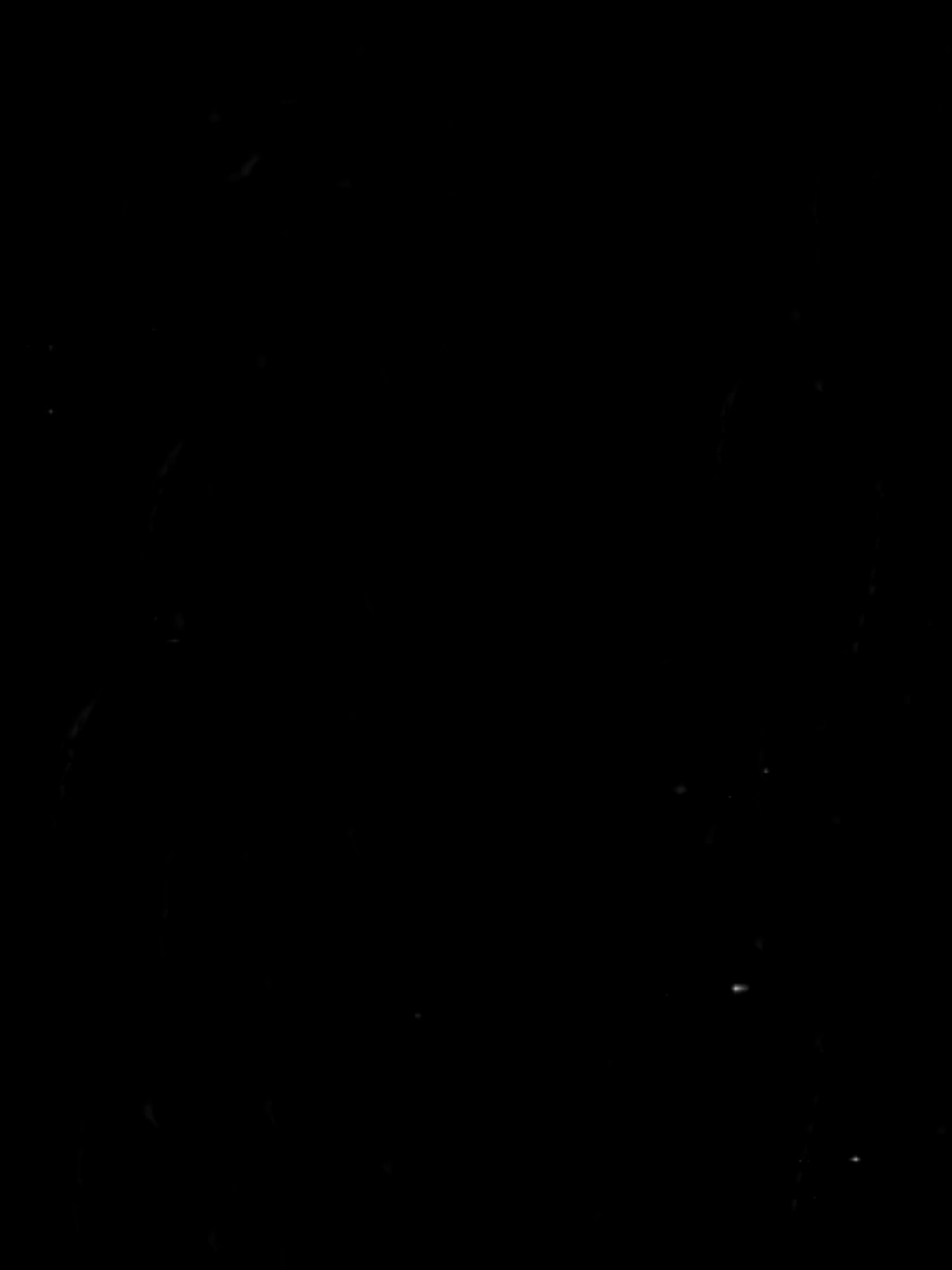 Flashlight. 🎧 . . . . #flashlight #jessiej #tipografia #lyrics #songs 