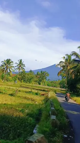 . “Keindahan Galunggung bukan sekadar pemandangan—tapi rasa damai yang susah ditemukan di tempat lain.”#alam #sunda 
