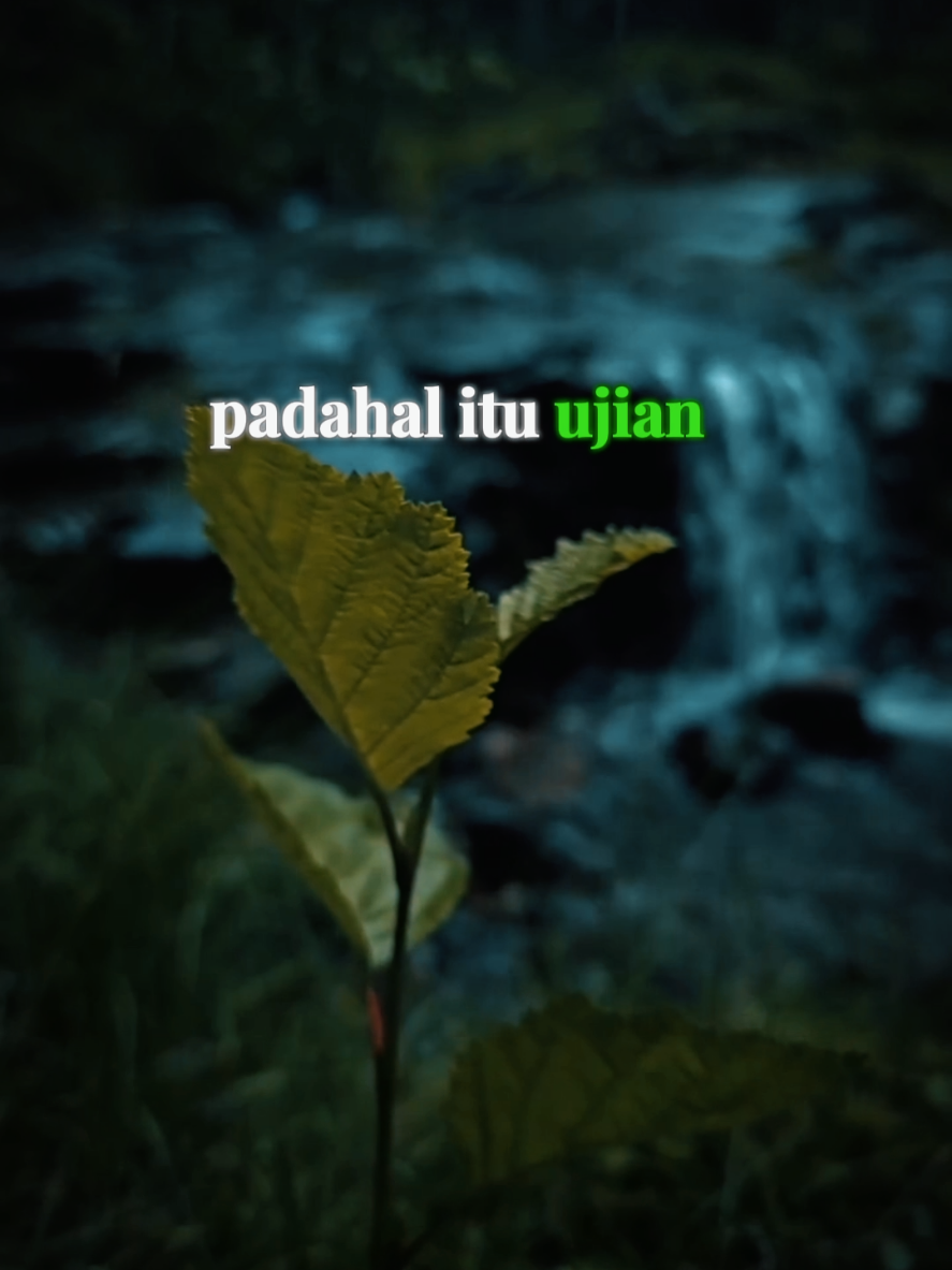 Jangan Pernah Merasa Lebih Baik dari Siapa Pun #quotesislam #selfreminder #bismillahfyp #indonesia #november 