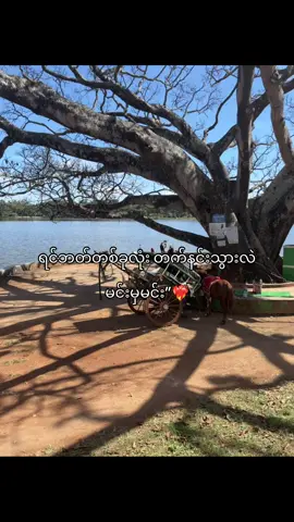 #fypage #views #viral #viewsproblem😭😭 #100millionviews 