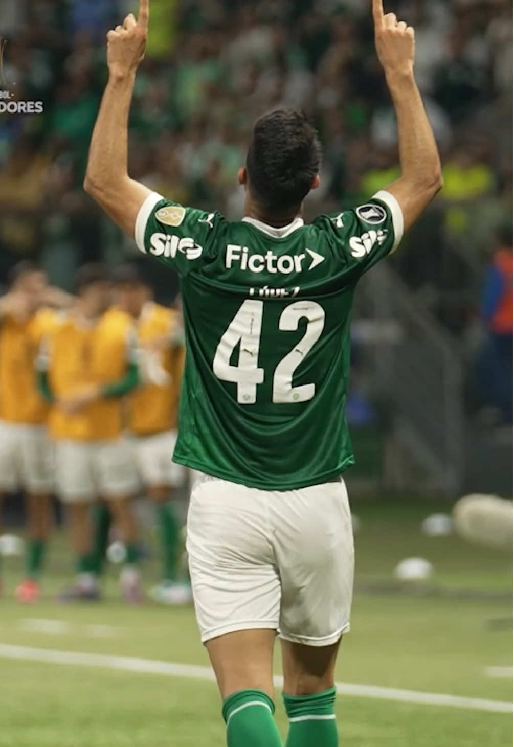 El goleador de #Palmeiras: El Flaco López🤩💪🏽 CONMEBOL #Libertadores #GloriaEterna 