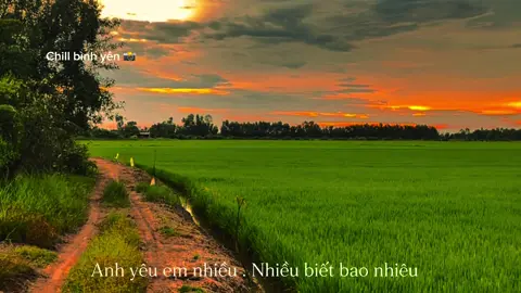 Anh yêu em nhiều. Nhiều biết bao nhiêu #chill #binhyen #cuoichinh #xuhuong #mientay 