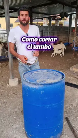 para los que me pidieron el video de como partir el tambo para los comederos de las cabras aquí lo tienen #mexico #granja #cabra #agriculture #goat 