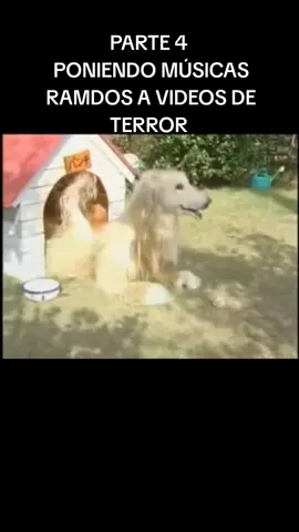 #fyppppppppppppppppppppppp #memesramdosvideosdeterroroooooo #virallllllllllllllllllllllllllllllll #terroranalogico #parte4 