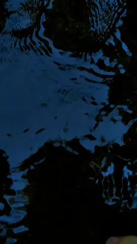 River of knowledge #view #darkaesthetic #darkfantasy #foryoupage #fantasy 