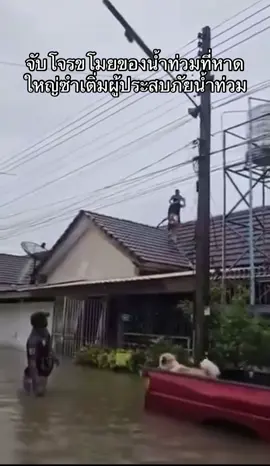 มาดู‼️วินาทีที่ชาวบ้านช่วยกันตามจับโจรชั่วช้าที่มาซ้ำเติมวิกฤตน้ำท่วมในช่วงนี่ที่มาขโมยของภายในหมู่บ้านแอร์พอร์ต ตอนน้ำท่วม (โจรถอดเสื้อ)😡😡 #โจรน้ำท่วม #น้ำท่วมภาคใต้ #น้ำท่วมหาดใหญ่