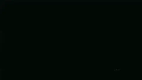 “我的心和你一起死了，凛。剩下的只是一个空壳，迷失在仇恨和黑暗之中。” 