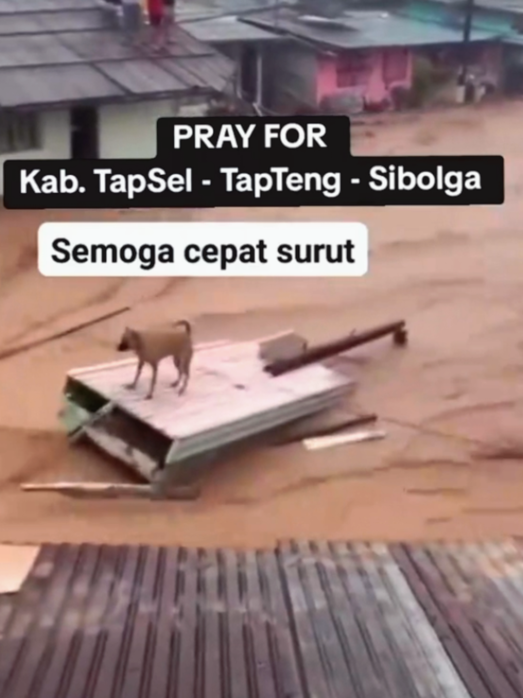 Berdasarkan informasi terkini bencana banjir dan tanah longsor terjadi di beberapa wilayah di Tapanuli (Sumatera Utara) hari ini, Rabu, 26 November 2025, yang mengakibatkan korban jiwa dan kerusakan parah. Poin-poin penting mengenai situasi tersebut - Korban Jiwa: Setidaknya empat orang, yang merupakan satu keluarga (seorang ibu dan tiga anaknya), dilaporkan meninggal dunia akibat tertimbun longsor di Desa Mardame, Kecamatan Sitahuis, Kabupaten Tapanuli Tengah (Tapteng). Total korban jiwa akibat bencana banjir dan longsor di Sumatera Utara secara keseluruhan dilaporkan mencapai 10 orang. Wilayah Terdampak: Bencana ini melanda beberapa kabupaten/kota, termasuk Tapanuli Tengah, Tapanuli Utara, Tapanuli Selatan, Mandailing Natal, Kota Sibolga, dan Nias #bencanaalam #sumatra #sibolgatapteng #sumatrautara #sumatra 