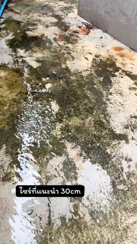 แปรงขัดพื้น #แปรงขัดพื้นขนลวด 