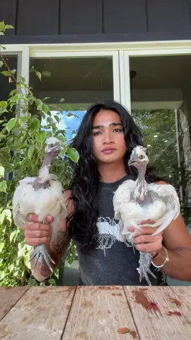 They got that gimbal technology 