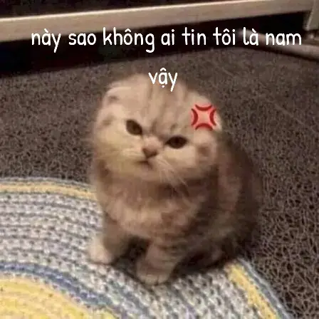 tôi là trai mà 😠💢#xh #trending #content #me #iamboy 