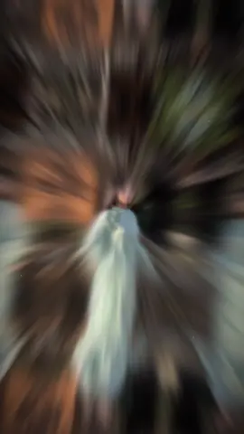 Dù em đã hết lời 