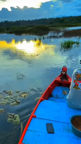 #bugistiktok #bugisfyp #fyp 