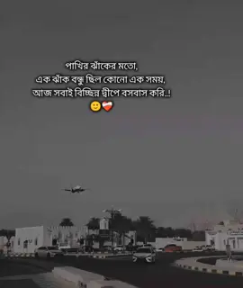 পাখির ঝাঁকের মতো,এক ঝাঁক বন্ধু ছিল কোন এক সময়, আজ সবাই বিচ্ছিন্ন দ্বীপে বসবাস করি..!🙂❤️‍🩹 শখের প্রবাস😓💔 #saudi_probashi🇸🇦✈️ #foryoupage #foryou #saudi_probashi🇸🇦✈️ 