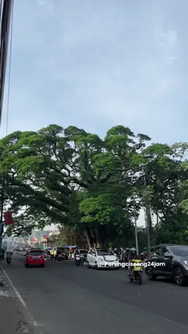 Pohon Jubleg Parung. Dulu pernah ada rencana ditebang, ketika disedang proses penebangan, mesinnya rusak. Pernah terbakar api, tapi tetap ga tumbang, Bahkan ada yang bikin vlog kalau pohon itu harus ditebang karena bahaya, Legend mah emang beda  #parung #ciseeng #bogor  #viral #fyp 