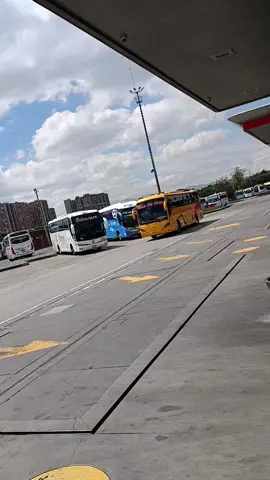 #flotavalledetenza #buseterosconestilo☀️🚎💪 #stilorolo🚨😎🚌 #900 