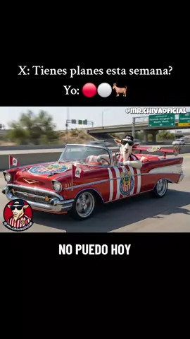 No puedo hoy juega el Rebaño 🎶🐐 #chivasdelguadalajara #rebañosagrado #chivasdecorazon #nopuedohoyjuegaelrebaño #mrchiva 