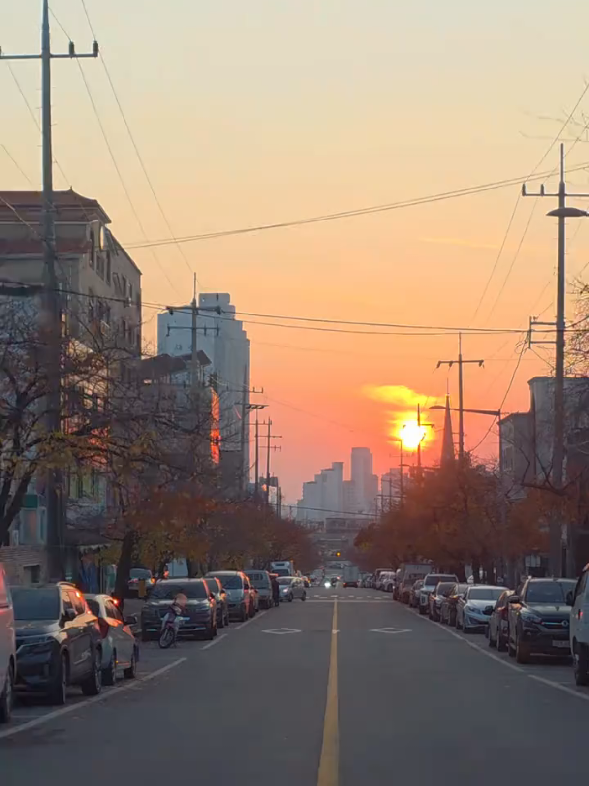 #한국 #korea #엄마 