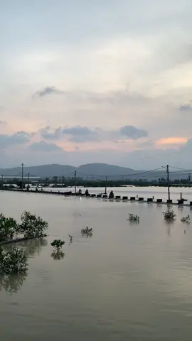 Quy Nhơn cũng có kha khá bờ tràn nhỉ? #quynhonoday #quynhon #dulich #fyp 