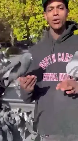 #birdgame #birdgame3 #fypシ゚viral 