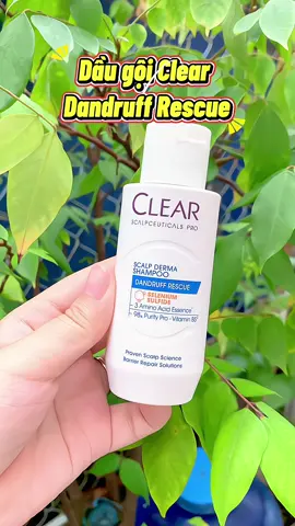 “ Dầu gội Clear “ cứu tinh cho da đầu gàu #clearscalpceuticals #sachgauvuottroi #hợptáccùngunilever #ClearVN #daugoitrigau 