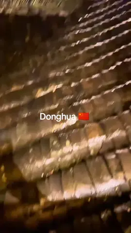 Donghua 🇨🇳, Penonton🇮🇩, sound🇮🇳 keren abisss.  #wanglin #donghua #renegadeimmortal #china @FansWangLin 