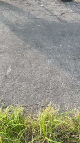 pspkan sekitarmu#pspstyle #cbpsp #cbpspstyle #fyp #cbindonesia  