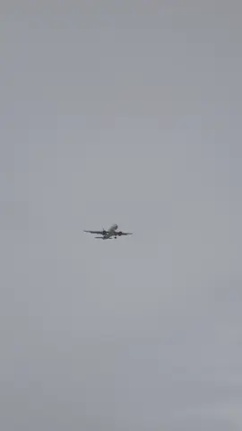 dipersilakan kata-katanya