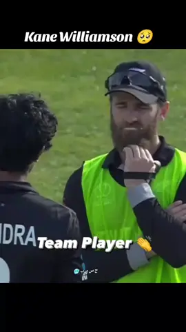 Kane Williamson 🥺🥺🥺 #blackcaps #kanewilliamson #santner #kiwi #rachinravindra 