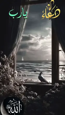 #CapCut بسط يديك فقلت الحمد لله#دعاء #مقاطع #دينيه_اسلاميات_قران_كريم 