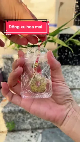 Đồng xu hoa mai..may mắn thuận lợi bình an