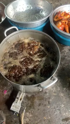 Không bằng cấp , nhưng đi nên bằng sự trải nghiệm 