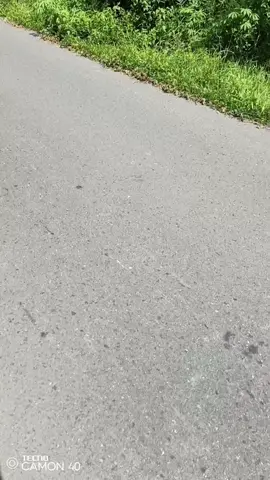 #TECNOIndonesia #TECNOFansIndonesia #tecnocamon40 #foryou #videorandom @TECNO Indonesia Store @TECNO Kalimantan 