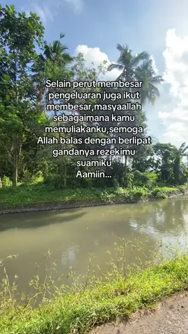 🤲🏻🤍#pregnant #TM2 #masyaallahtabarakkallah #fyp #fypシ 