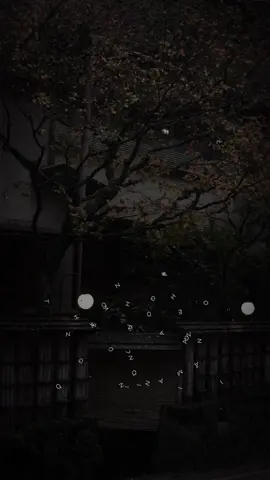 Không lòng vòng em eyy #capcut #capcutpioneer #pioneertemplate