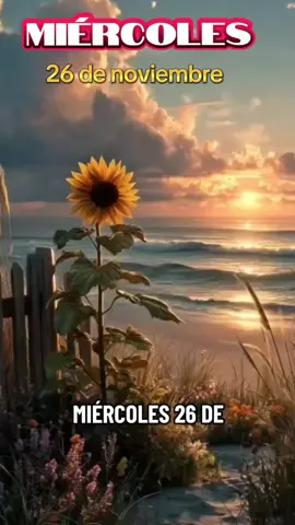 oración de la mañana hoy miércoles 26 de noviembre,  feliz y bendecido dia miércoles.  #buenosdias  #feliz #miercoles  #viraltiktok #paratiiiiiiiiiiiiiiiiiiiiiiiiiiiiiiiiii🦋 