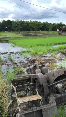 balungan cilik #fyp #traktorsawah #ponorogo24jam #anggayhho #petanimuda 