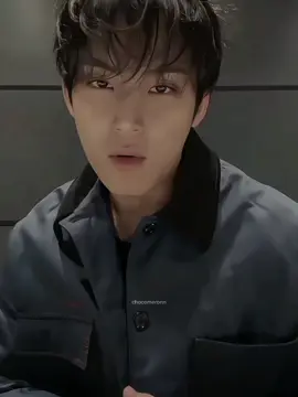 #mingyu #kimmingyu #seventeen17_official #carat #fyp 