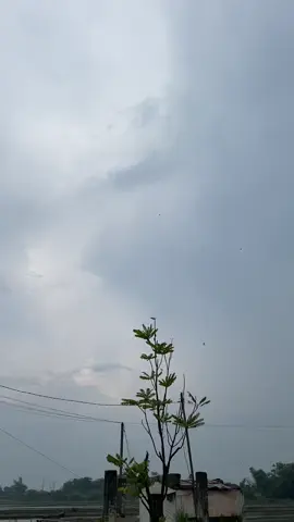 Sesuai permintaan Kami upayakan yang terbaik 😇