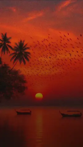 #CapCut #أقولك #طلال_مداح 