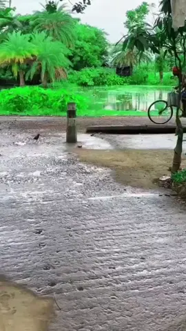 #tiktok #duet #viral #islamic_video #tiktokbangldesh @TikTok @TikTok Bangladesh @TikTok MENA @Mizanur Rahman Azhari 