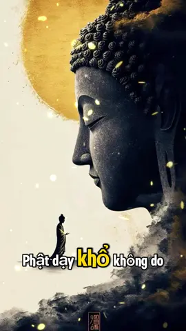 “Buông không phải mất, buông là trở về với bình an.” 🌿 #PhatDay #BuongBo #TamAn #ChuaLanh #TinhTam              