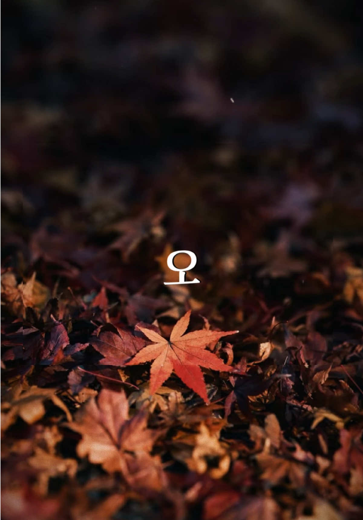 Fate Skip Mode Remix… #CapCut #maucapcut #xuhuong #thinhhanh #bietchua 