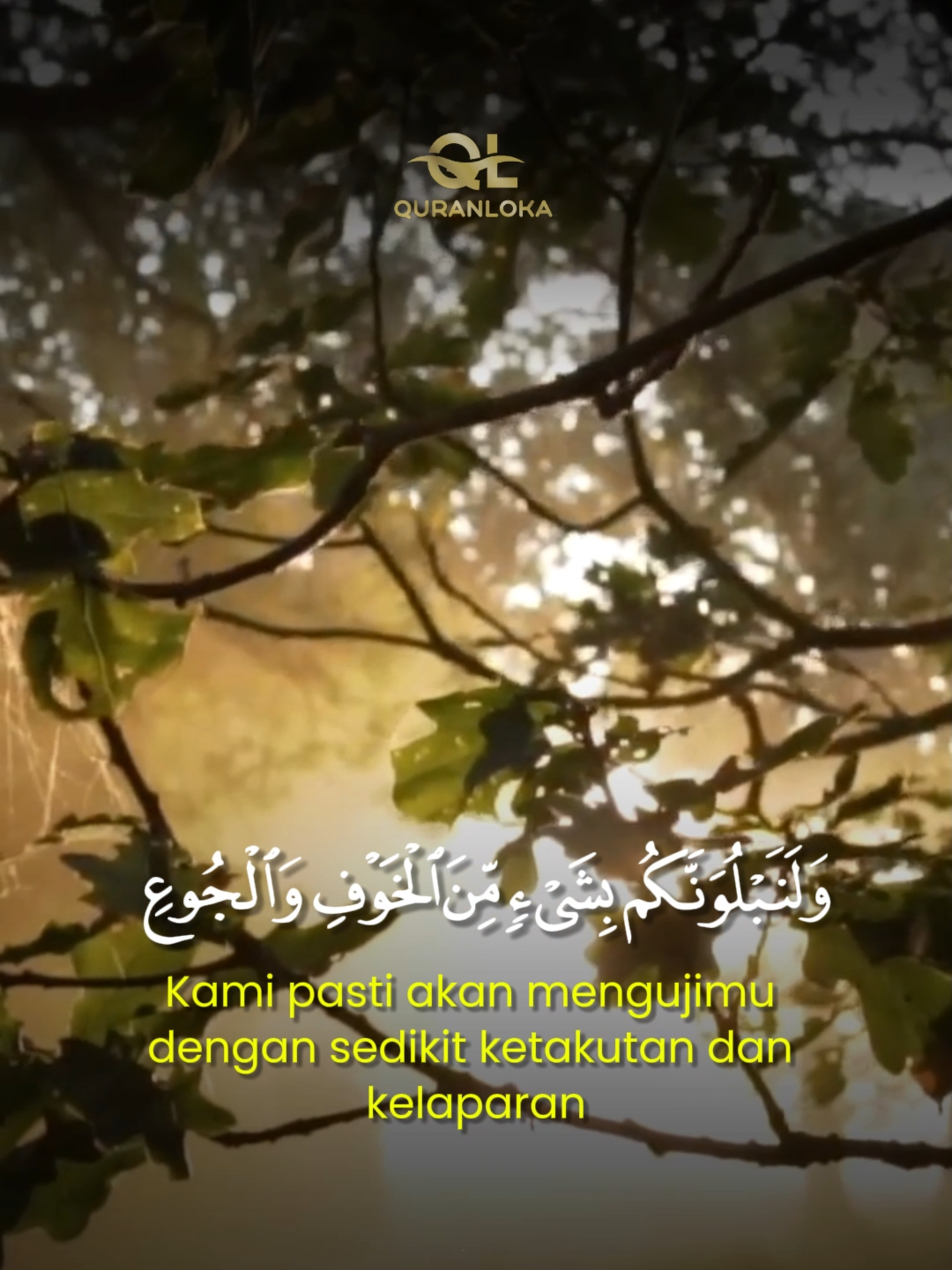 Hidup penuh dengan Ujian, Bersabarlah Kawan.. Tilawah Merdu Quran Surah Al-Baqarah ayat 155-157 #tilawahquran #murottalquran #quranloka