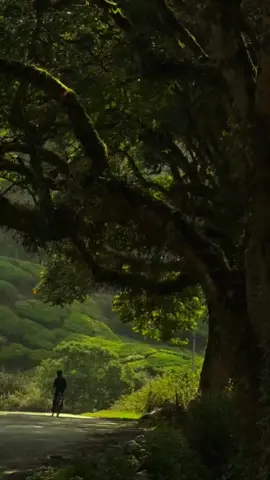 Allah itu punya sifat permanen #ngajigusbaha #gusbaha #muhibbingusbaha #fyp #capcut 