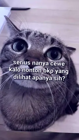 dilihat apanya sih? 🤔 #presetalightmotion #storywa #zxybca #katakatastory #fyp 