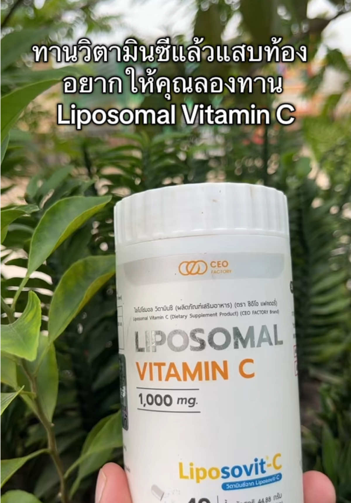 🍊 Liposomal Vitamin C (Liposovit-C) 🍊 💊 วิตามินซีรูปแบบใหม่ ดูดซึมดีกว่าวิตามินซีทั่วไป ✅ ทานแล้วไม่แสบท้อง ✅ ดูดซึมเข้าสู่เซลล์ด้วยเทคโนโลยี Liposomal ✅ เสริมภูมิคุ้มกัน ลดหวัดง่าย ฟื้นฟูร่างกายเร็ว ✅ วิตามินซีเข้มข้น 1,000 mg / เม็ด 📌 แนะนำ สำหรับคนที่เคยทานวิตามินซีทั่วไปแล้วแสบท้อง ต้องลองตัวนี้เลย! ⸻ #วิตามินซี #บำรุงสุขภาพ #เสริมภูมิคุ้มกัน#อาหารเสริมเพื่อสุขภาพ #เจ้ฝนบอกพิกัด @เจ้ฝนบอกพิกัดของดี  @เจ้ฝนบอกพิกัดของดี  @เจ้ฝนบอกพิกัดของดี 