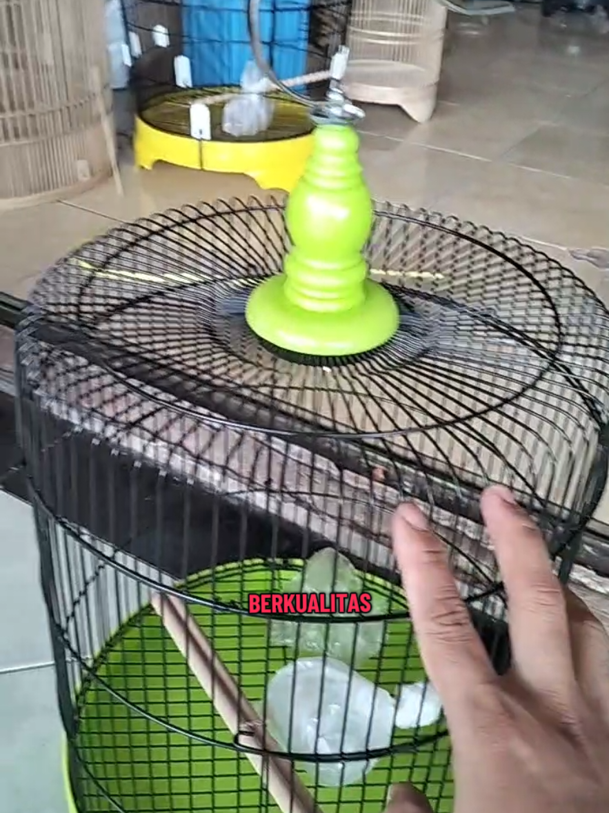 sangkar kandang burung besi bulat lovebirde tanggung T2 diameter 33cm Minion #burung #kicaumania #shoptokopedia 