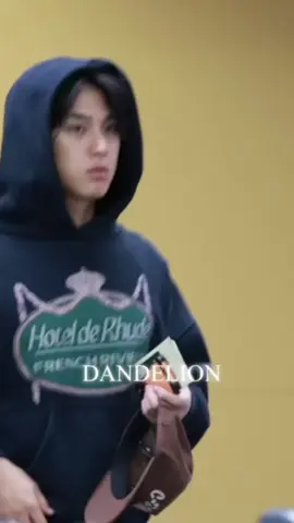 so handsome❤️ #mingyu #kimmingyu #seventeen #fyp #seventeen17_official 