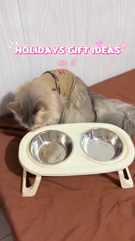 to my fellow furmoms, this is the best food rack for your baby! #tiktokgiftrecos #catbowl #catslovers #petlover 